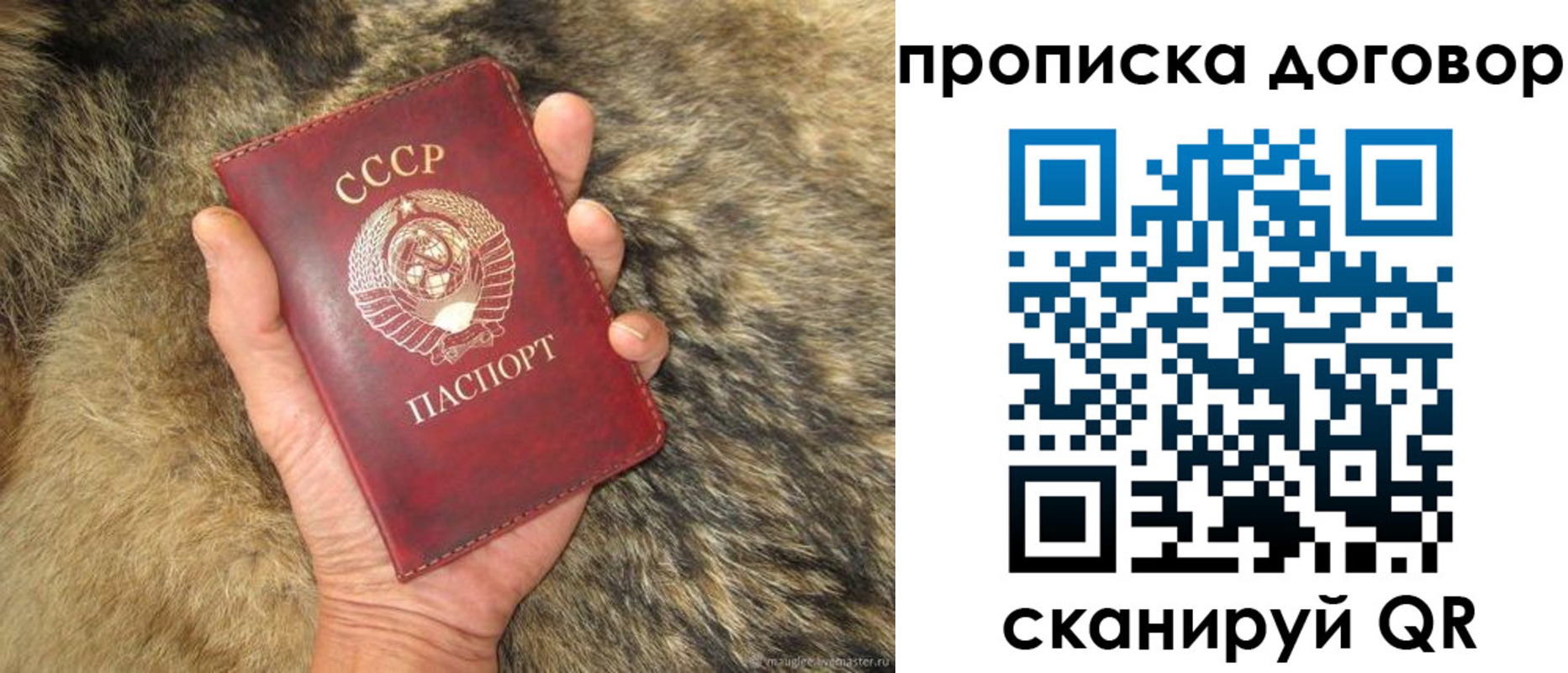 прописка регистрация в Благодарном